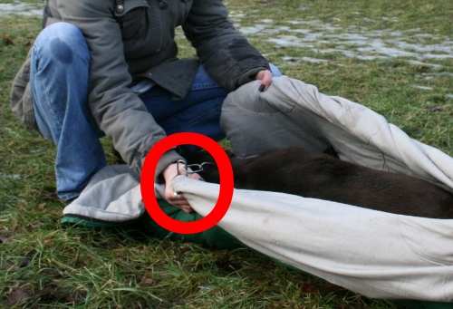 Pskow die Einstiche der Schönheit